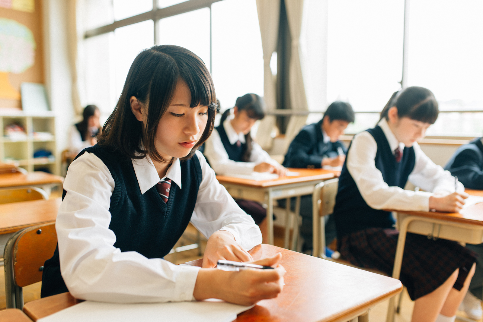 Japanese Degree Online USA