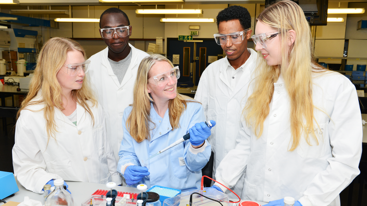 Pharmacology Degree Online in USA