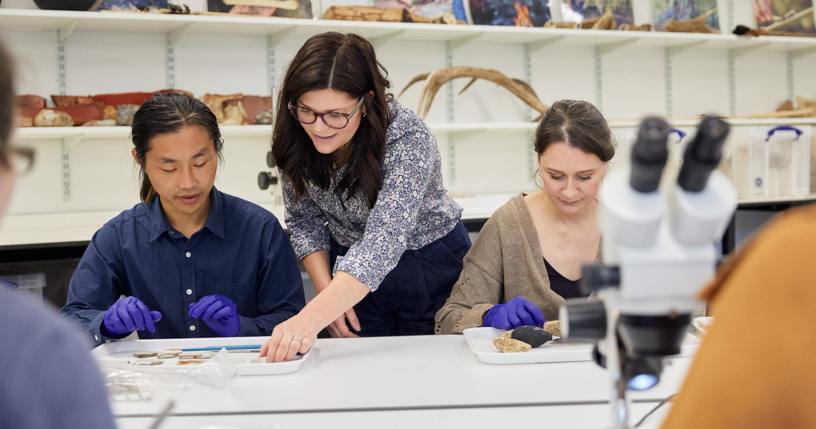 Archaeology Degree Online