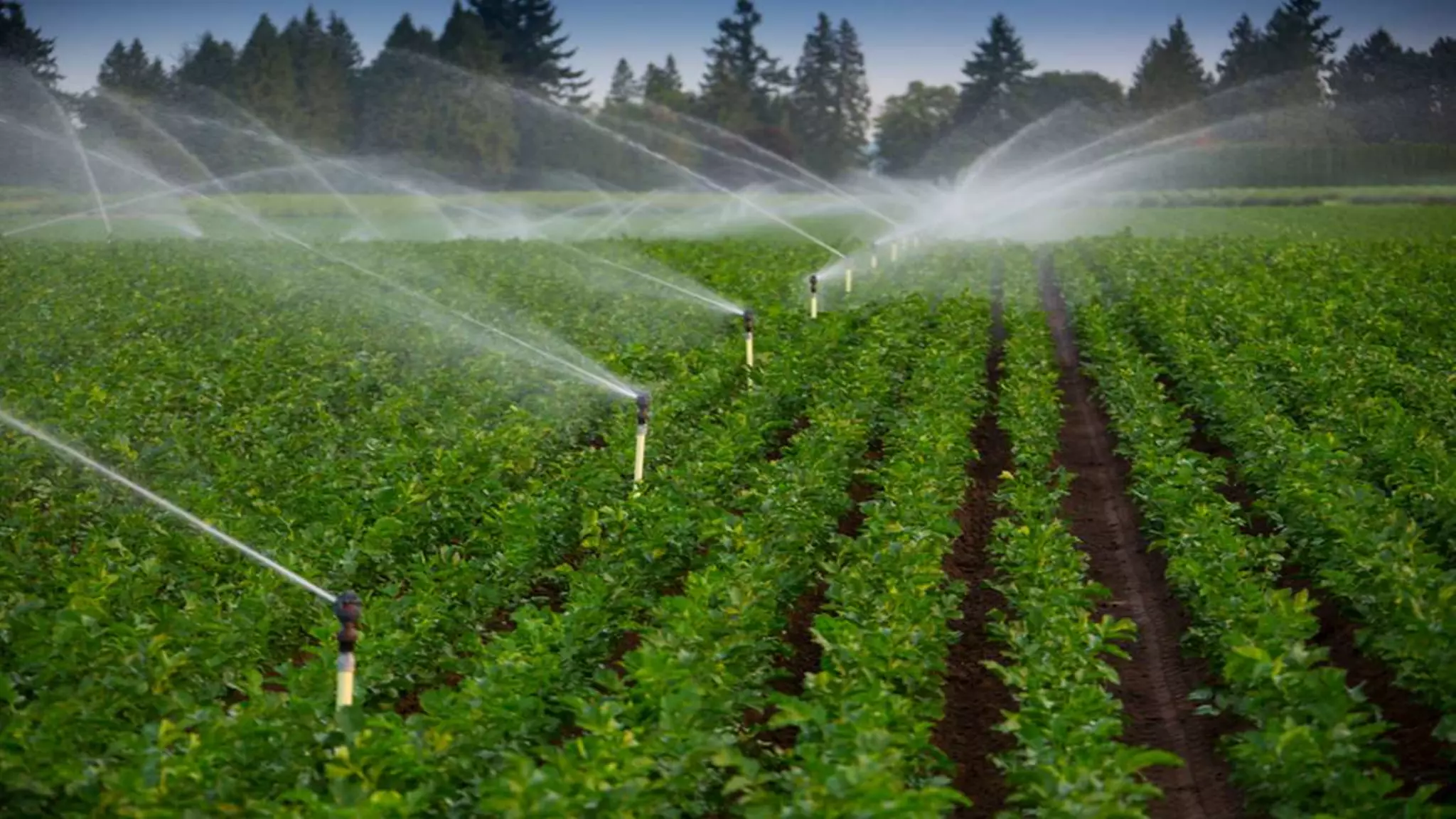 Irrigation Engineering Degree Online