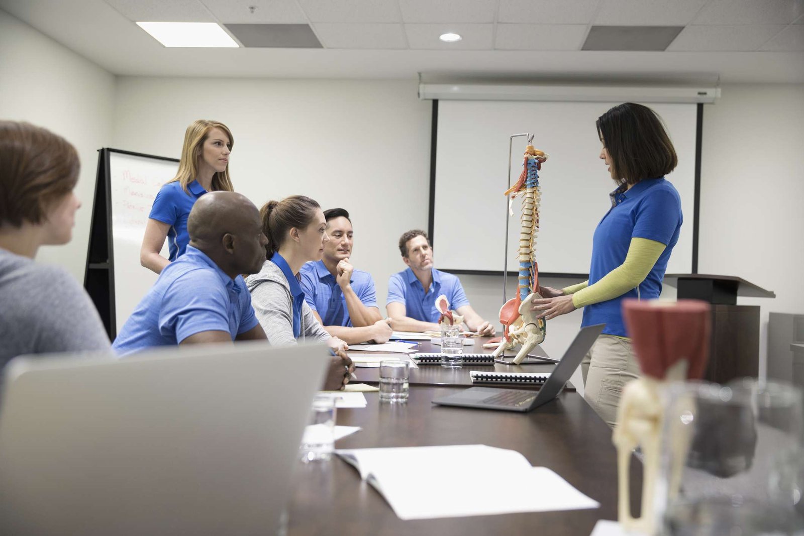 Physical Therapy Degree Online in USA